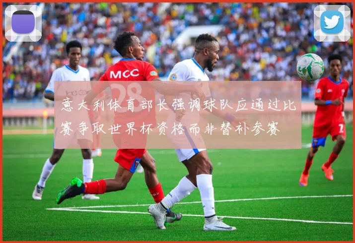 意大利体育部长强调球队应通过比赛争取世界杯资格而非替补参赛