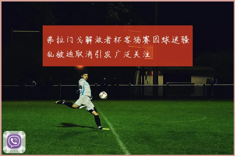 弗拉门戈解放者杯客场赛因球迷骚乱被迫取消引发广泛关注